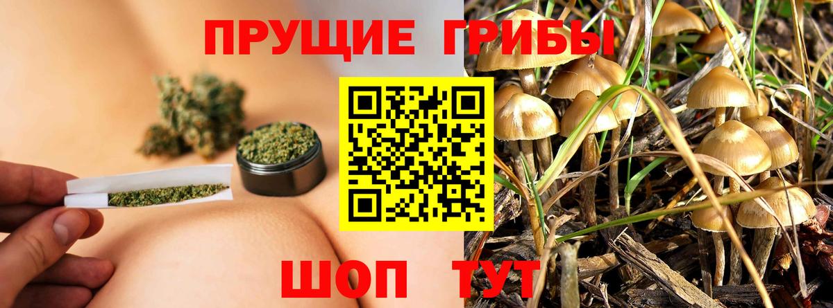 Экстази  Кокаин  МДМА  ГАШ  Михайловск  Вход с VPN  Мефедрон кристаллы  Конопля 