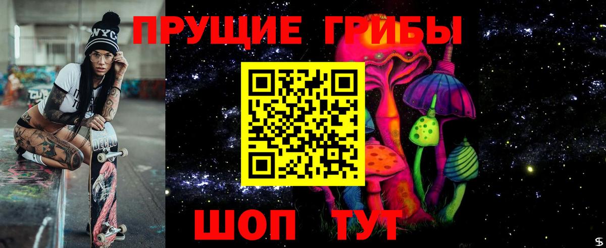 Псилоцибиновые грибы Psilocybe  Вход с VPN  Михайловск 